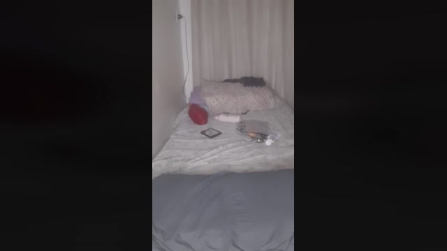 pequenamorena  16-11-2022